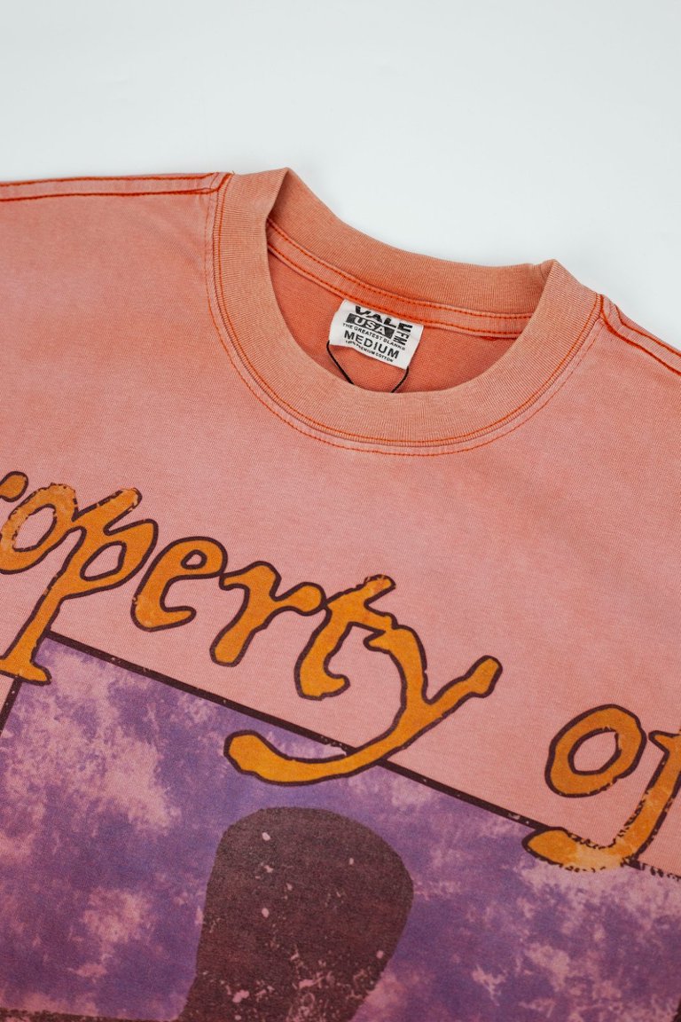 Vale Vintage Washed‑Orange Target Print Tee