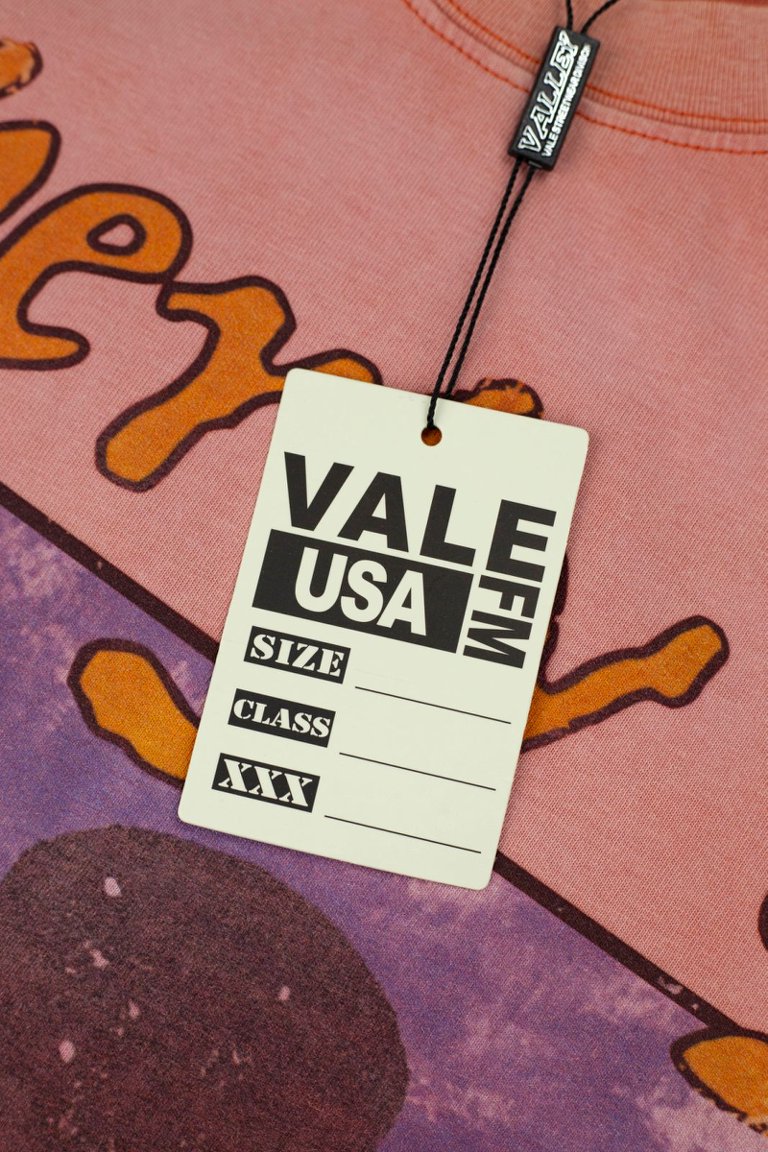 Vale Vintage Washed‑Orange Target Print Tee